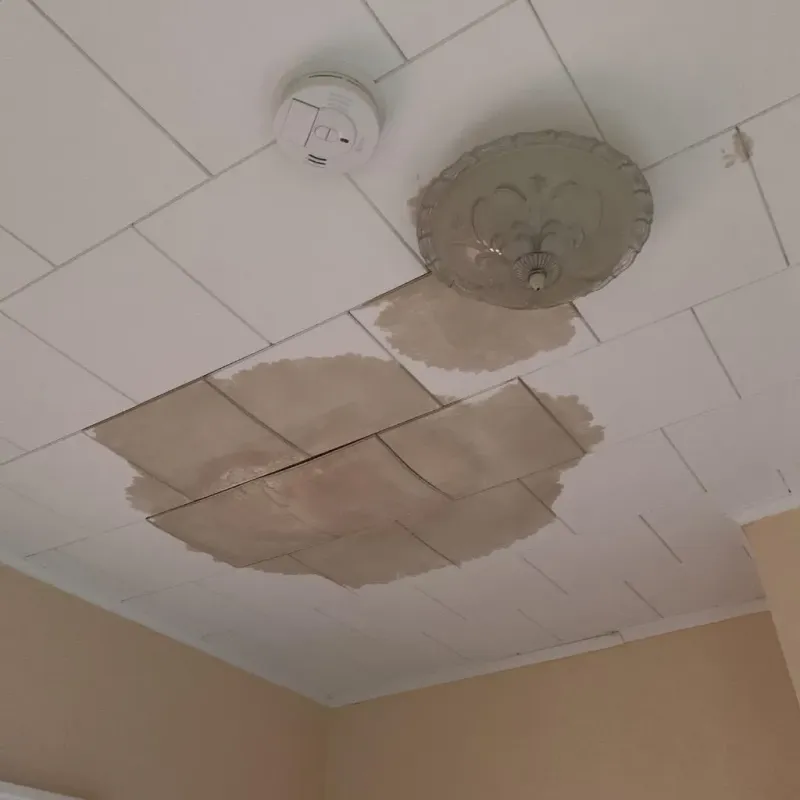 Ceiling Water Damage Repair in Dodge County, GA